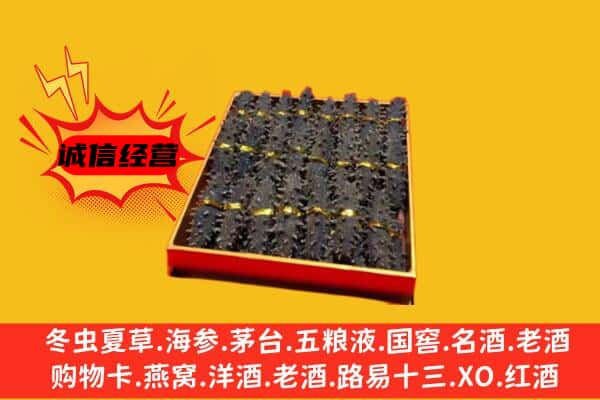 阳谷县回收海参